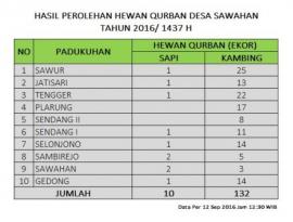 Hasil Perolehan Hewan Qurban Desa Sawahan 1437H