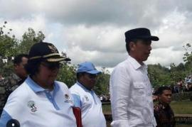 Presiden Jokowi Tanam Ribuan Pohon di Kawasan Ponjong