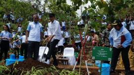 Program Kebun Bibit Rakyat Menyasar Desa Sawahan