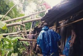 Akibat Hujan Angin Rumah Wasikem Tertimpa Pohon Sengon